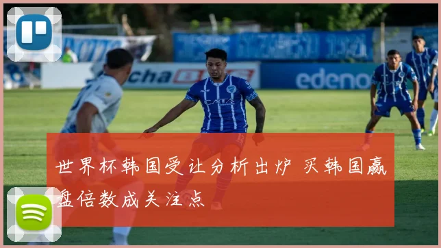 世界杯韩国受让分析出炉 买韩国赢盘倍数成关注点