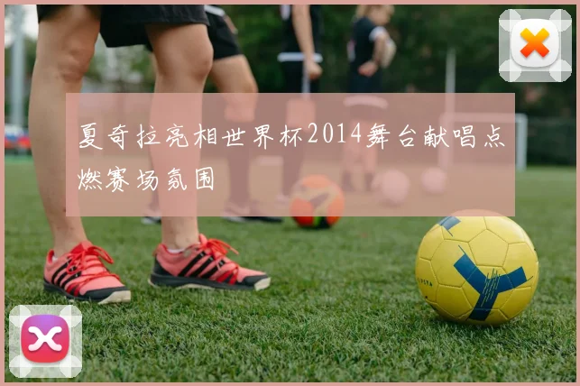 夏奇拉亮相世界杯2014舞台献唱点燃赛场氛围