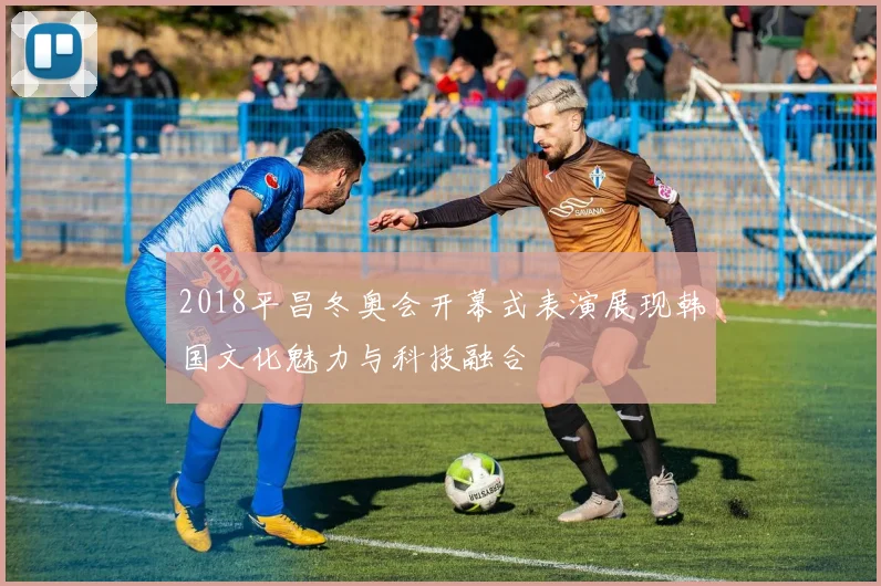 2018平昌冬奥会开幕式表演展现韩国文化魅力与科技融合