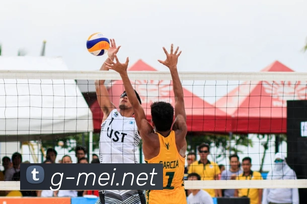 ayx.cn登录入口全站App